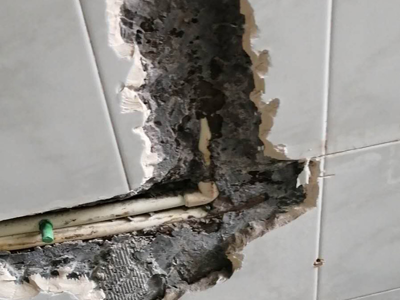 房屋漏水检测用什么办法准确又快捷(图2) 202007281046.jpg
