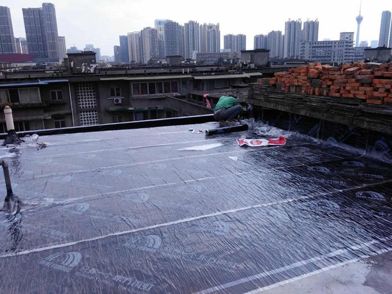 厂房屋顶防水用什么材料性能好(图3) 02 (1).jpg