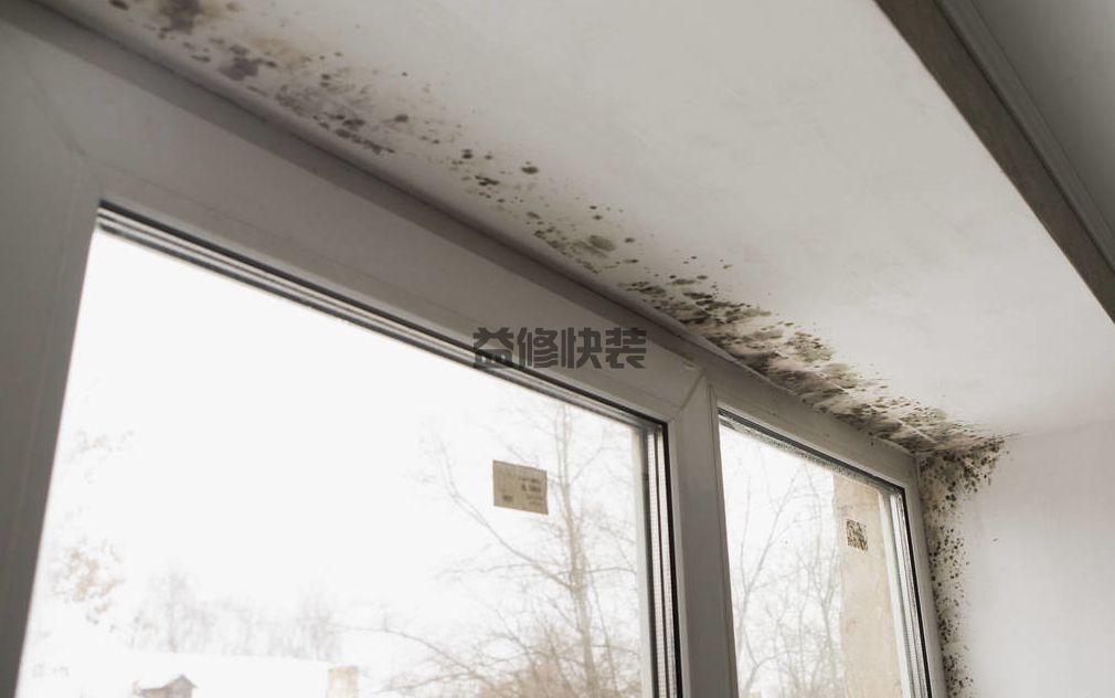 墙壁潮湿发霉怎么处理,看看专业师傅都是怎么操作维修的(图1) 墙壁潮湿发霉怎么处理,看看专业师傅都是怎么操作维修的(图1)