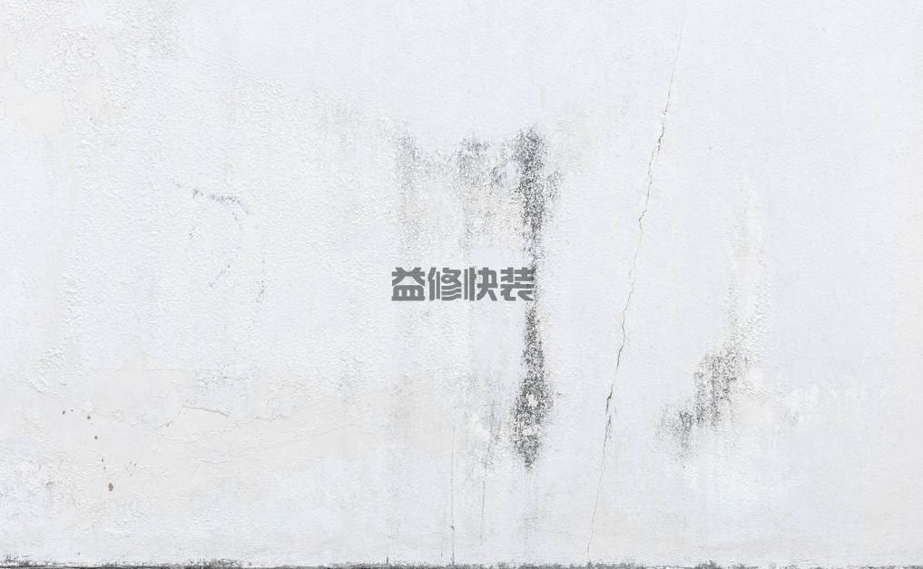 墙壁潮湿发霉怎么处理,看看专业师傅都是怎么操作维修的(图2) 墙壁潮湿发霉怎么处理,看看专业师傅都是怎么操作维修的(图2)