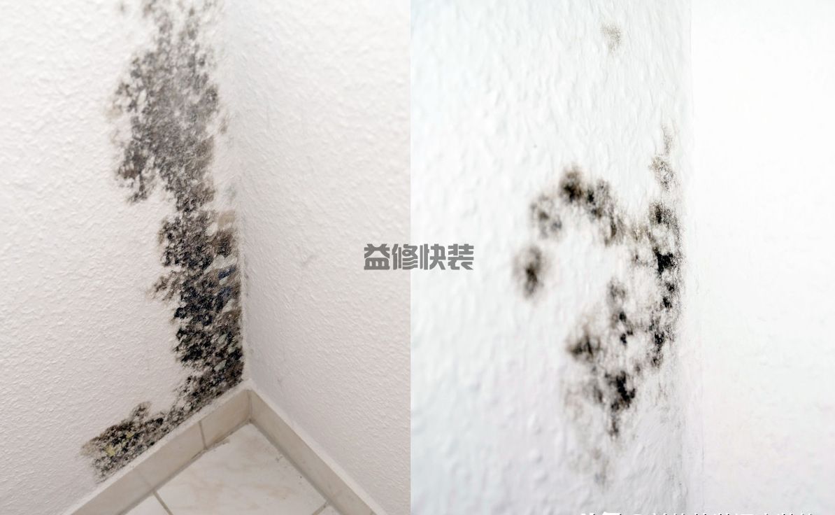 墙壁潮湿发霉怎么处理,看看专业师傅都是怎么操作维修的(图3) 墙壁潮湿发霉怎么处理,看看专业师傅都是怎么操作维修的(图3)