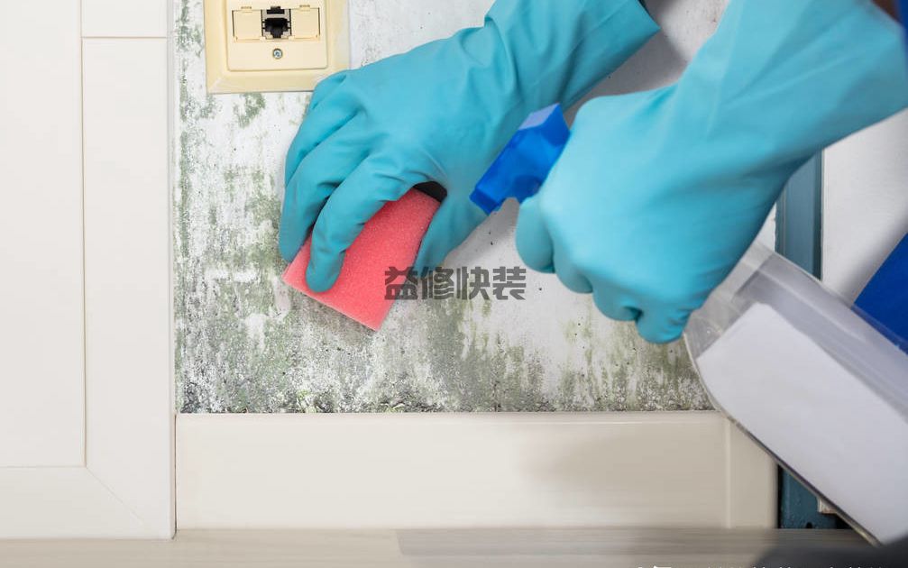 墙壁潮湿发霉怎么处理,看看专业师傅都是怎么操作维修的(图4) 墙壁潮湿发霉怎么处理,看看专业师傅都是怎么操作维修的(图4)