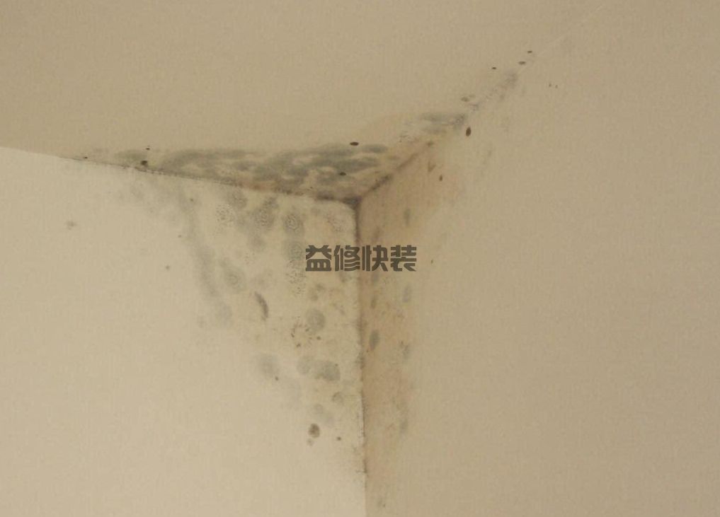 房间墙面发霉了怎么处理，试试这些简单的方法(图4)