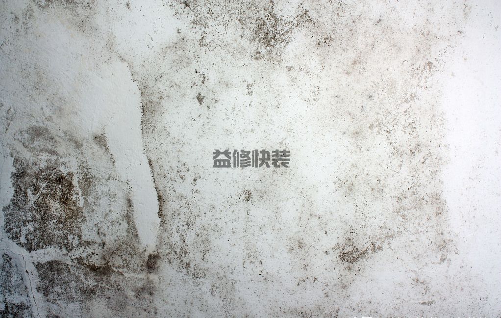 发霉的墙面怎么处理方法？到底是什么原因导致的呢！(图1)