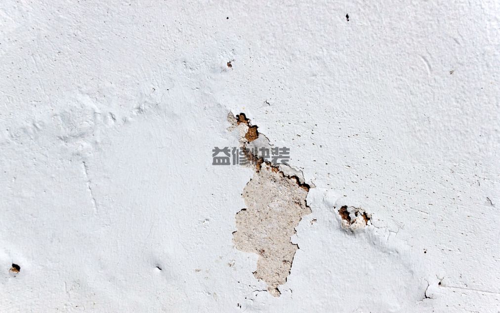 发霉的墙面怎么处理方法？到底是什么原因导致的呢！(图2)