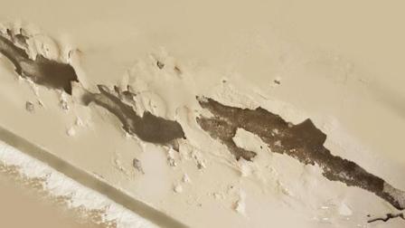 专业师傅一般不会告诉你的墙面发霉处理方法(图3) 专业师傅一般不会告诉你的墙面发霉处理方法(图3)