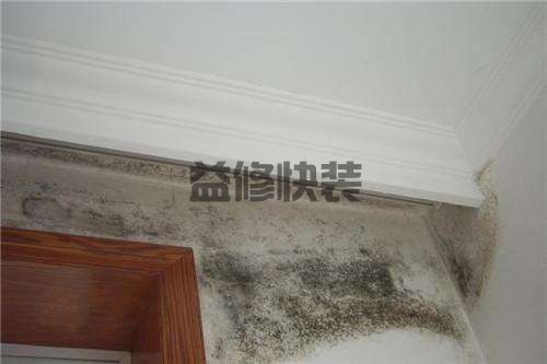 怎么处理墙面发霉，超实用的房屋墙面发霉处理小技巧！(图3)