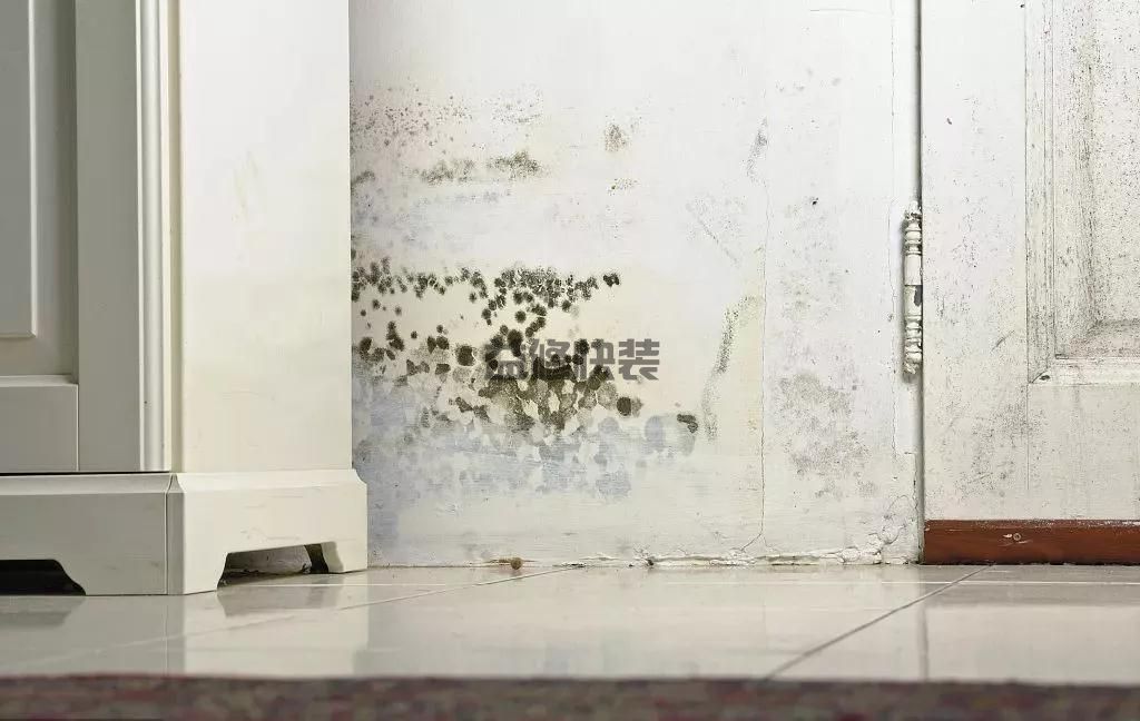 怎么处理墙面发霉，超实用的房屋墙面发霉处理小技巧！(图1)