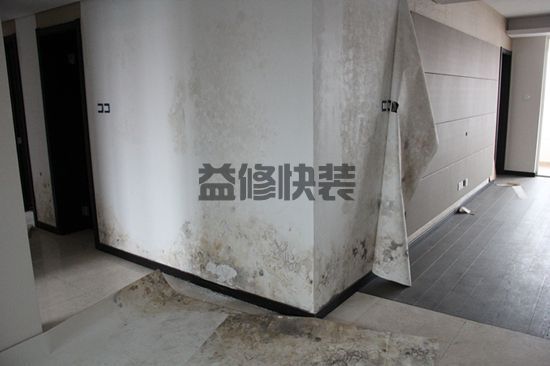 墙面上发霉如何处理干净，墙面发霉怎么自己翻新？(图2)