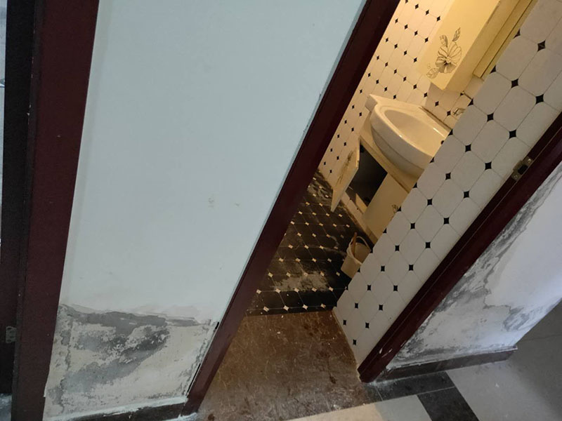 石家庄长安区卫生间墙面发霉维修(图3) 石家庄长安区卫生间墙面发霉维修(图3)