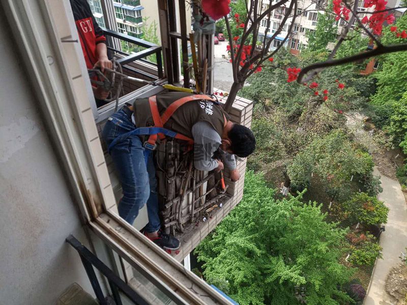 济南历城区阳台植物清理(图1) 济南历城区阳台植物清理(图1)