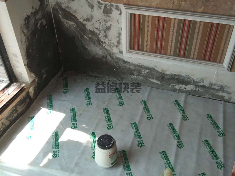 廊坊宠物店装修,可以把天花板吊的高一点(图1) 廊坊宠物店装修,可以把天花板吊的高一点(图1)