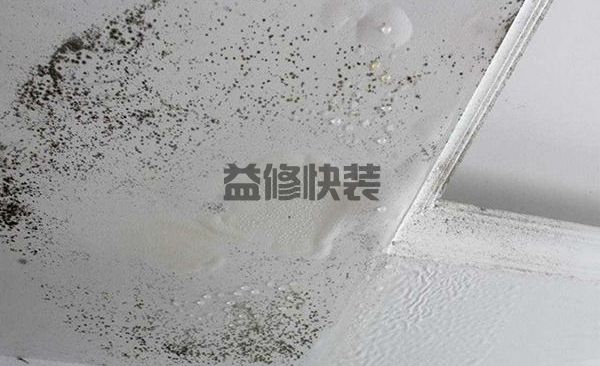 客厅吊顶发霉难看怎么办，师傅告诉你处理方法