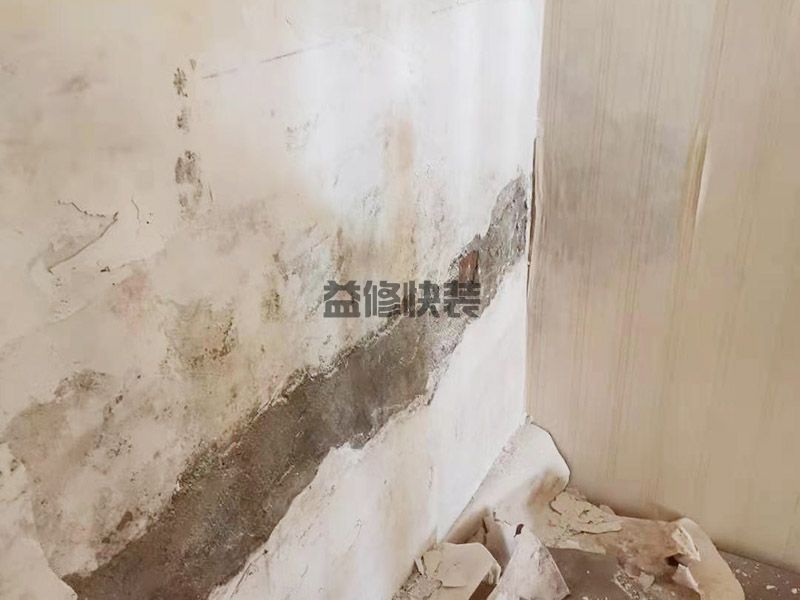 房顶塌陷维修上门服务,房顶塌陷维修的办法,房顶塌陷维修找谁合适(图3) 房顶塌陷维修上门服务,房顶塌陷维修的办法,房顶塌陷维修找谁合适(图3)