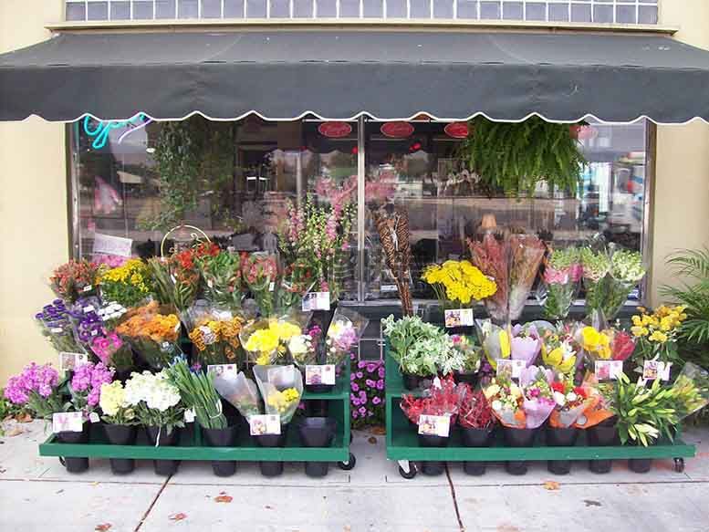 株洲花店装修如何合理布局灯光(图1)