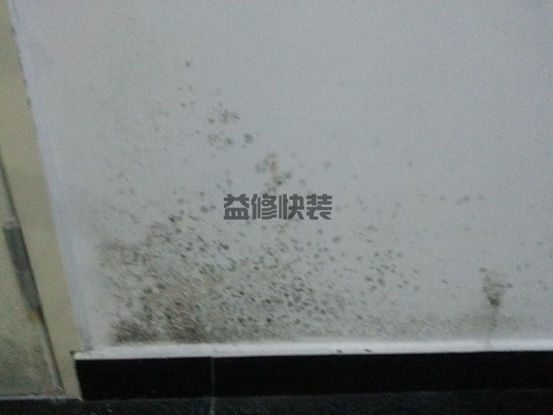 卫生间墙角发霉怎么办,维修公司不对外传的4个小妙招(图2) 卫生间墙角发霉怎么办,维修公司不对外传的4个小妙招(图2)