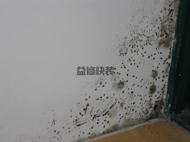 卫生间墙角发霉怎么办,维修公司不对外传的4个小妙招(图3) 卫生间墙角发霉怎么办,维修公司不对外传的4个小妙招(图3)